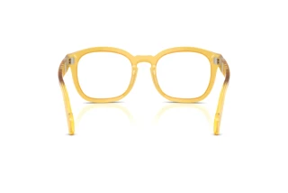 Rückansicht Persol PO0082V (204)