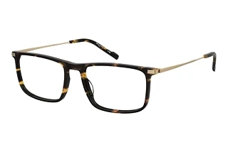 Pierre Cardin P.C. 6289 086 HAVANNA