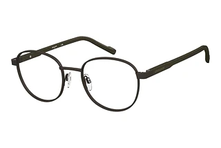 Pierre Cardin P.C. 6916 YZ4 BRAUN