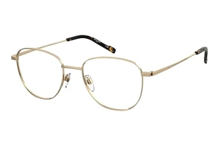 Pierre Cardin P.C. 6917 J5G GOLD