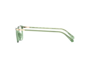 Seitenansicht Polaroid PLD D460/G (0OX)