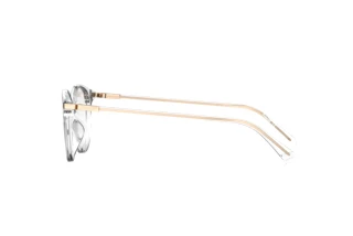 Seitenansicht Polaroid PLD D461/G (900)