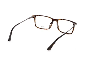 Rückansicht Police VPLD92 (0722)