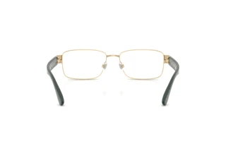 Rückansicht Polo PH1239 (9211)