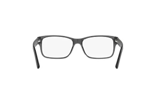 Rückansicht Polo PH2117 (5965)