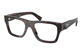 Prada PR C01V 17N1O1 Root Tortoise