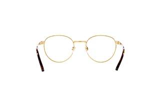 Rückansicht Ralph Lauren RL5118 (9449)