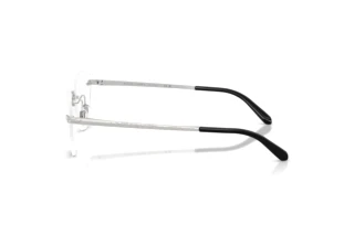 Seitenansicht Ralph Lauren RL5134 (9001)