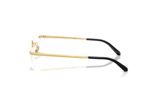 Seitenansicht Ralph Lauren RL5134 (9004)