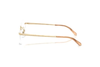 Seitenansicht Ralph Lauren RL5134 (9116)