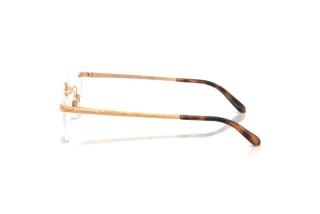 Seitenansicht Ralph Lauren RL5134 (9153)