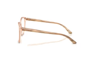 Seitenansicht Ralph Lauren RL6222 (6110)