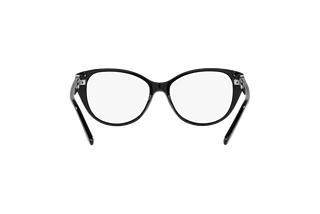 Rückansicht Ralph Lauren RL6223B (5001)