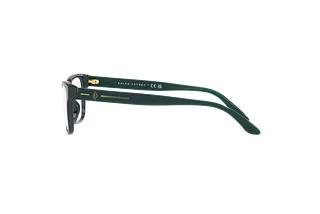 Seitenansicht Ralph Lauren RL6229U (5421)