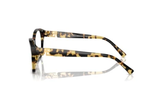 Seitenansicht Ralph Lauren RL6236U (5004)