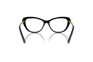 Rückansicht Ralph Lauren RL6245 (5001)