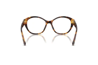 Rückansicht Ralph Lauren RL6246U (5134)