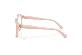 Seitenansicht Ralph Lauren RL6246U (6053)