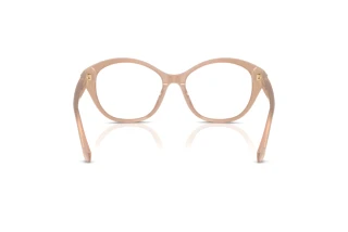 Rückansicht Ralph Lauren RL6246U (6217)