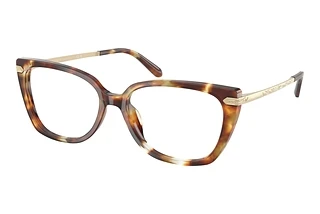 Ralph Lauren RL 6250U 6056