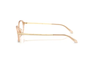 Seitenansicht Ralph Lauren RL6269U (6062)