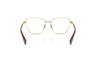 Rückansicht Ralph RA6060 (9458)