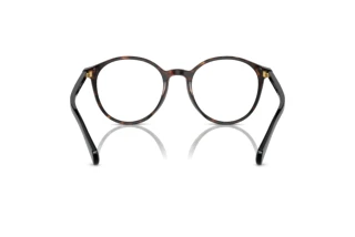 Rückansicht Ralph RA7148 (6007)