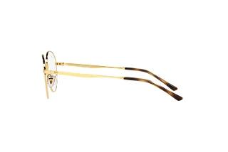 Seitenansicht Ray-Ban RX3681V (2500)