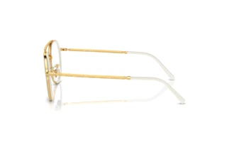 Seitenansicht Ray-Ban RX3765V (2500)