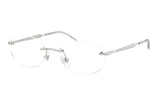 Ray-Ban RX3767V 2501 Silver