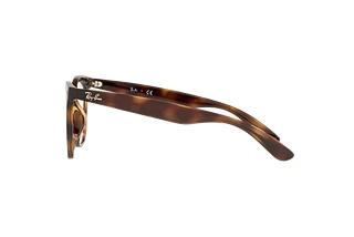 Seitenansicht Ray-Ban RX4379VD (2012)