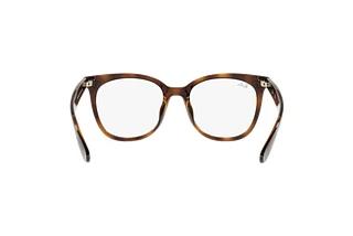 Rückansicht Ray-Ban RX4379VD (2012)