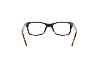 Rückansicht Ray-Ban RX5228 (2012)