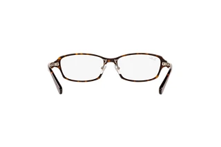 Rückansicht Ray-Ban RX5385D (2012)