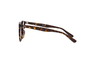 Seitenansicht Ray-Ban RX5411D (2012)