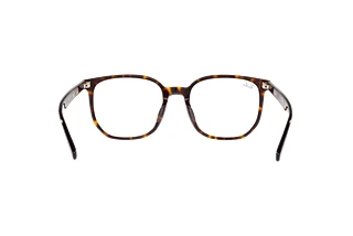 Rückansicht Ray-Ban RX5411D (2012)