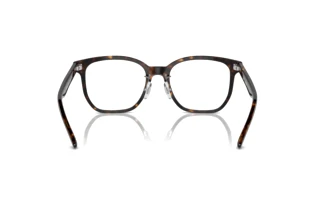 Rückansicht Ray-Ban RX5425D (2012)