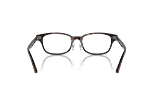 Rückansicht Ray-Ban RX5427D (8287)