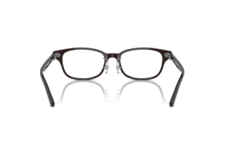 Rückansicht Ray-Ban RX5427D (8290)