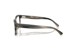 Seitenansicht Ray-Ban RX5435 (8404)