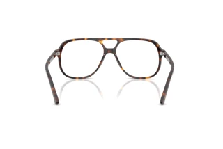 Rückansicht Ray-Ban RX5698 (2012)