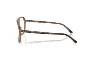 Seitenansicht Ray-Ban RX5698 (8109)