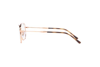Seitenansicht Ray-Ban RX6496 (3094)