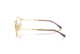 Seitenansicht Ray-Ban RX6520 (2500)