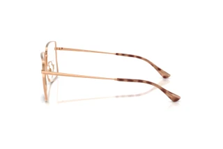 Seitenansicht Ray-Ban RX6553 (3094)