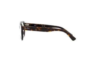 Seitenansicht Ray-Ban ERIK (RX7215 - 2012)