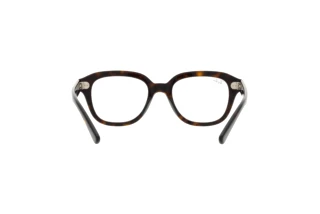 Rückansicht Ray-Ban ERIK (RX7215 - 2012)