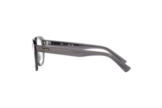 Seitenansicht Ray-Ban ERIK (RX7215 - 8257)