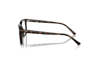 Seitenansicht Ray-Ban ALAIN (RX7239 - 2012)