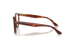 Seitenansicht Ray-Ban LARRY (RX7680V - 2144)